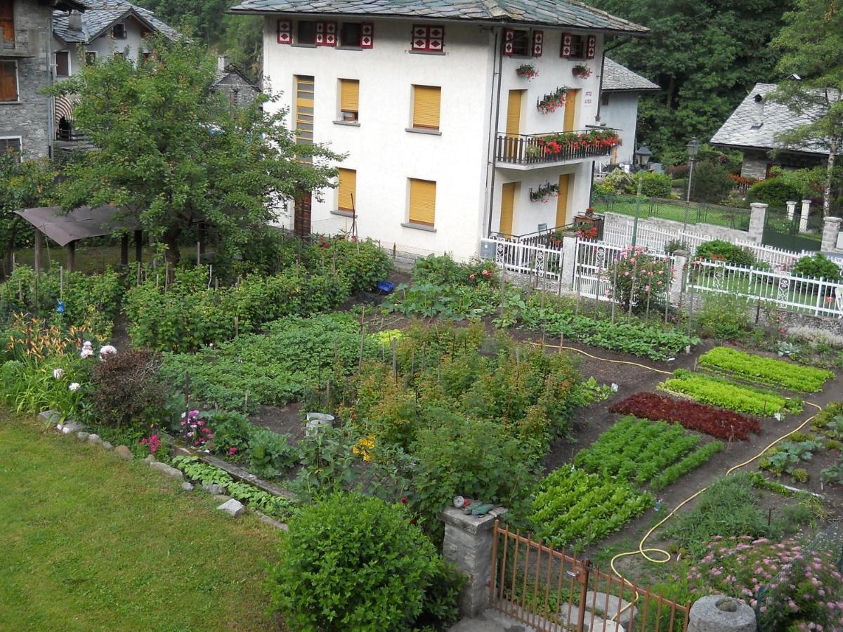 Albergo Mologna Gaby Kültér fotó